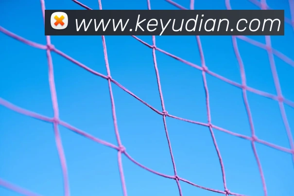 必一运动b官网发展历程